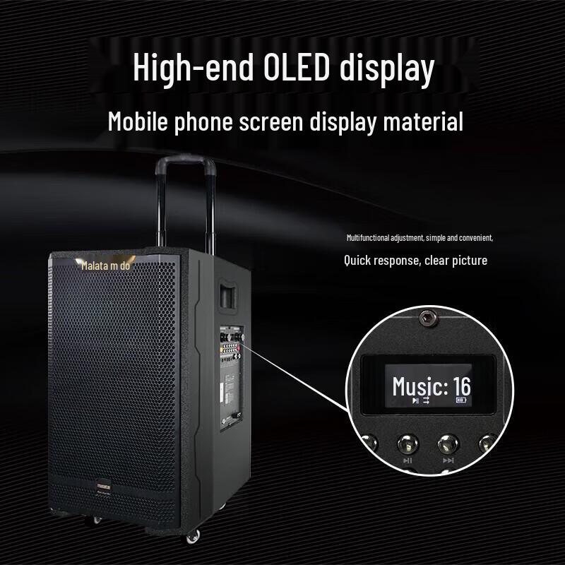 Malata Portable High-Power Karaoke Trolley Speaker