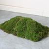 Artificial Green Moss Decor for Indoor Plants and Micro Landscapes