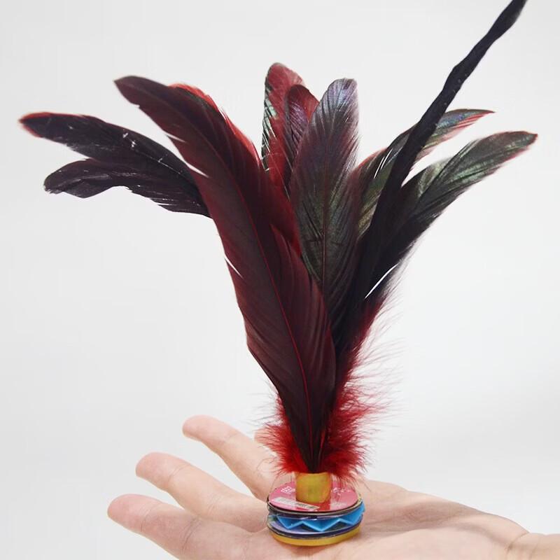 WEZHO Traditional Feather Shuttlecocks (7-Pack)