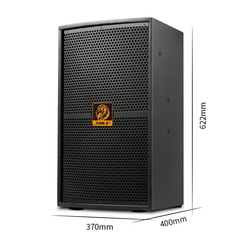 SHILE Professional 12-inch Audio System Set