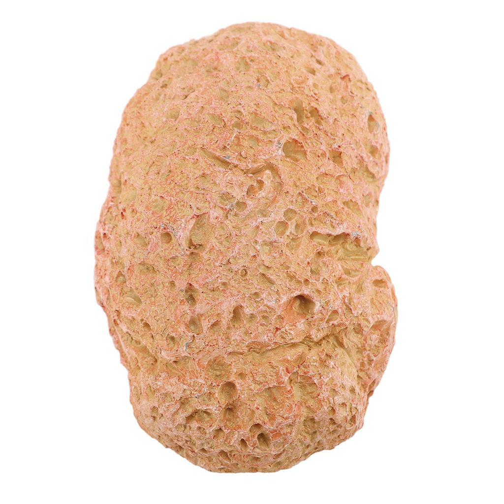 Fake Rock Schlüsselbox Wetterfest Erhöhte Sicherheit Vielseitige Harzstein Schlüsselversteck Aufbewahrungsbox für