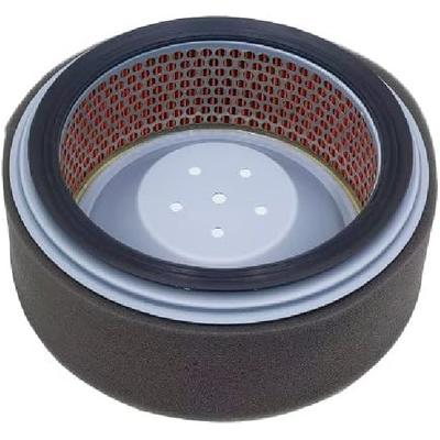Motor – Filtre de aer