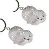 Functional Rabbit Shape Keepsakes Pendant Keychain Bunnies Hair Storage Box Clear Pet Furs Organizers Bag Charm Gift