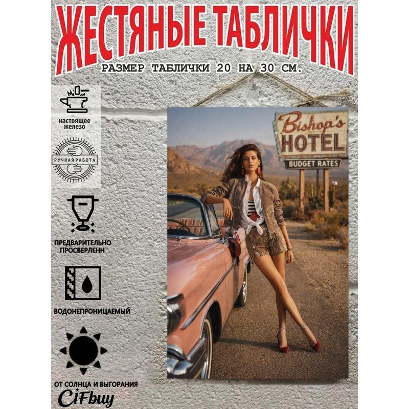 Retro Vintage Metal Sign Pin Up Girl Car Decor Wall Art