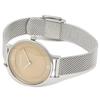 Skagen Women's Watch, SKW2649, Silver/Beige [Parallel Import]