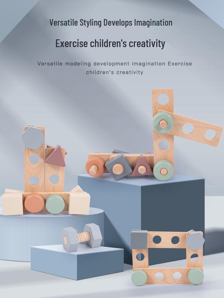 Children's Wooden Shape & Color Matching Puzzle Toy