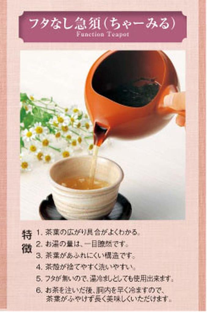 Mino Ware New Tea Pot with Mesh and Made In Japan J-kitchens M-Ami Strainer, 640cc,