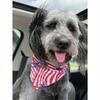 65cm Extra Large Independence Day Pet Triangle Bandana, American Flag Print Dog Bib, Cat Dog Scarf