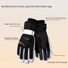 Card Holder Winter Ski Gloves with Storage Bag Thicken  Gloves  Outdooor