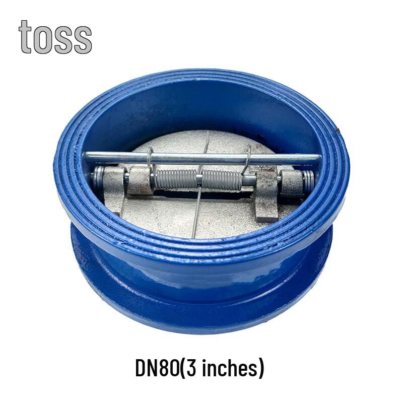 TENGZHI H77X-16 Cast Iron Wafer Butterfly Check Valve