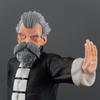26cm Dragon Ball Anime Figure Master Roshi Figure Action Figures Pvc Model Statue Collection Decoration Doll Toys Gift Ornaments