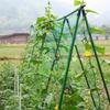 Green Climbing Plant Trellis Net for Cucumber, Melon, Chrysanthemum Support and Wind Protection.