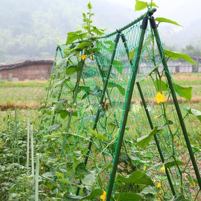 Green Climbing Plant Trellis Net for Cucumber, Melon, Chrysanthemum Support and Wind Protection.