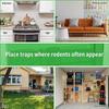 1pcs Human Mouse Traps Reusable Indoor Outdoor Mouse Trap with Cage Brush Rodent Trap High Sensitive Death for Indoor/Outdoor