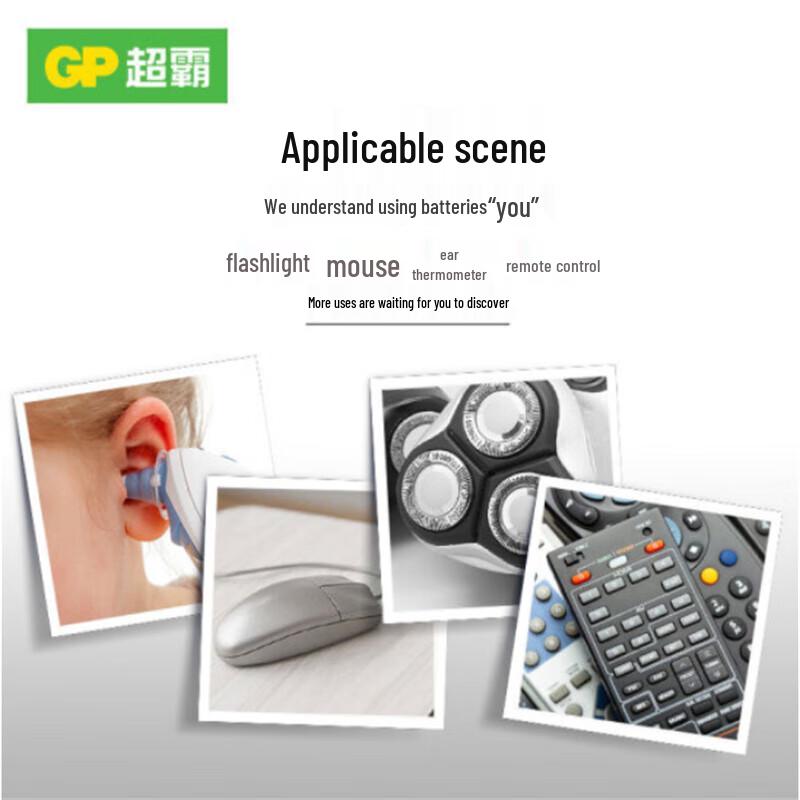 GP High Energy Alkaline AA Batteries CN plug (adapter included)