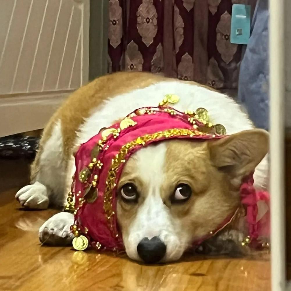 Dog Booty Shake Dance Booty Towel Decoration Pet Clothes Dance Dancing Clothes Wrap Belt Pet Be O6N7