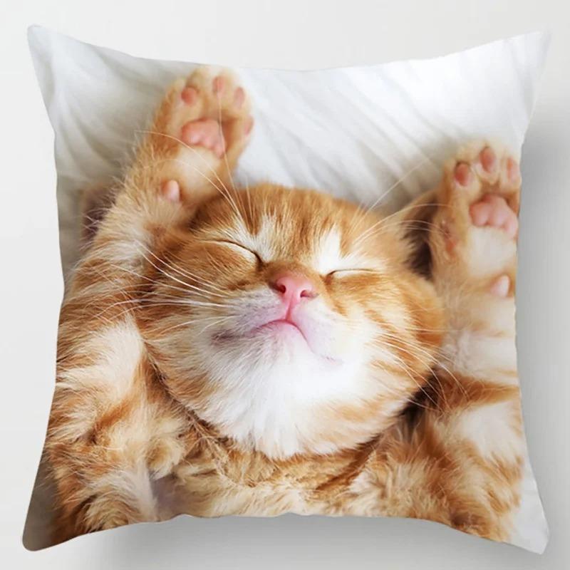 Süße Katze Umarmungskissenbezug Haustier Interaktive Illustration Kissen Heilende Heimdekoration Sofakissen