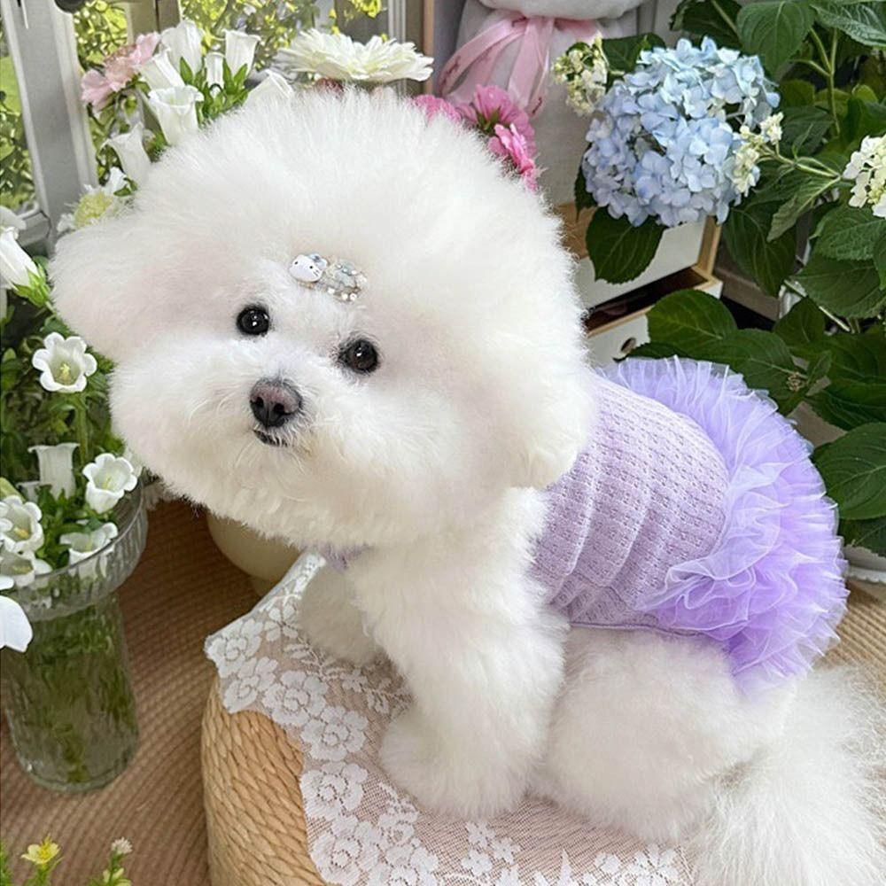 Breathable Dog   Princess Dress Lace Cat Dress Cute Dog Summer Dress  Pet Product