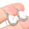 Natural Dendrite Opal Gemstone 925 Solid Sterling Silver Gift Earring 1.25" r6b94