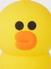 LINE FRIENDS Sally Keyring Pouch