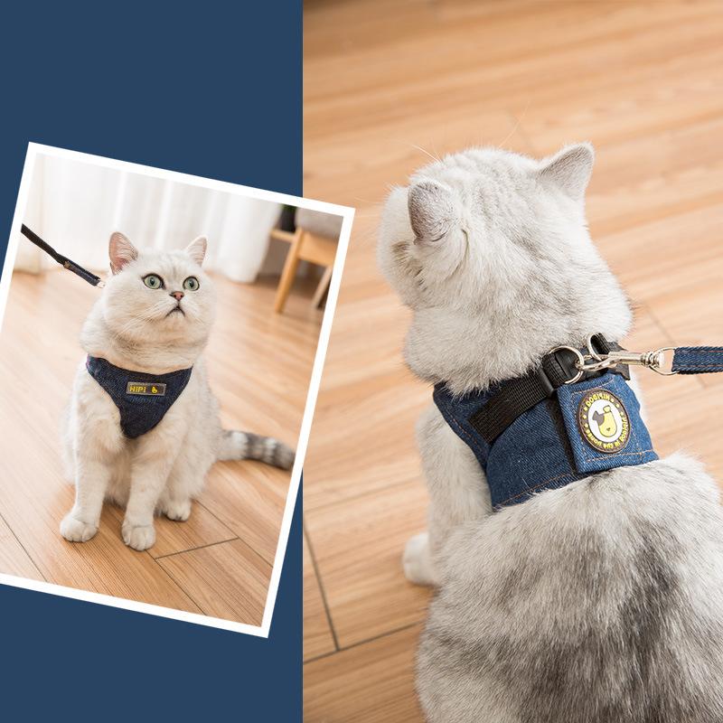 Cat leash anti-break free go out vest type chest strap rope teddy bear dog walking cat pet supplies