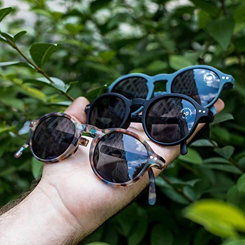 [IZIPIZI] Sunglasses #G Round (Tortoise/Gray)