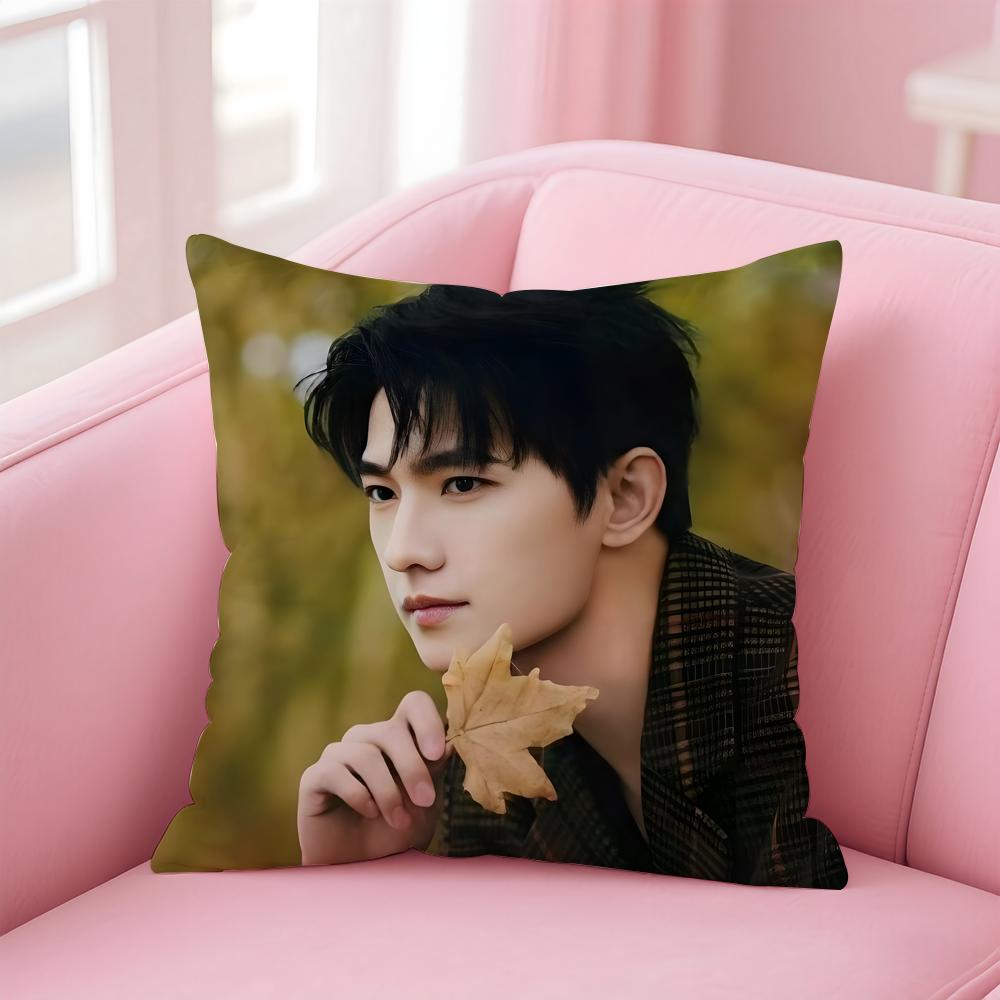 actor handsome YYang Yang Cushion Cover Pillow Case Soft Skin Friendly Fabric  Concealed Zipper