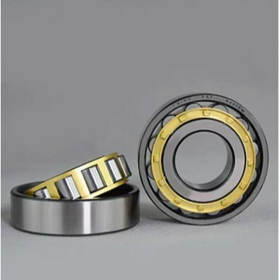 Eccentric Reducer RN Series Cylindrical Roller Bearings RN204-RN208EM In Stock