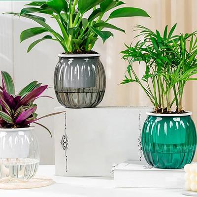 Selbstbewässernde Pflanzgefäße Mini Kürbisform Design Kunststoff Blumentopf Pflanztopf Hausgarten Modern Dekorativer Topf Zubehör