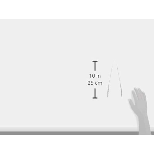 Takagi Craftsman's Way Stainless Steel Multi-Purpose Tongs, 2.2mm