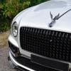 3D Car Hood Sticker Realistic Animal Decoration Sun Protection Eagle Hood Ornament For Car For Sedan RV Commuting Travel Family