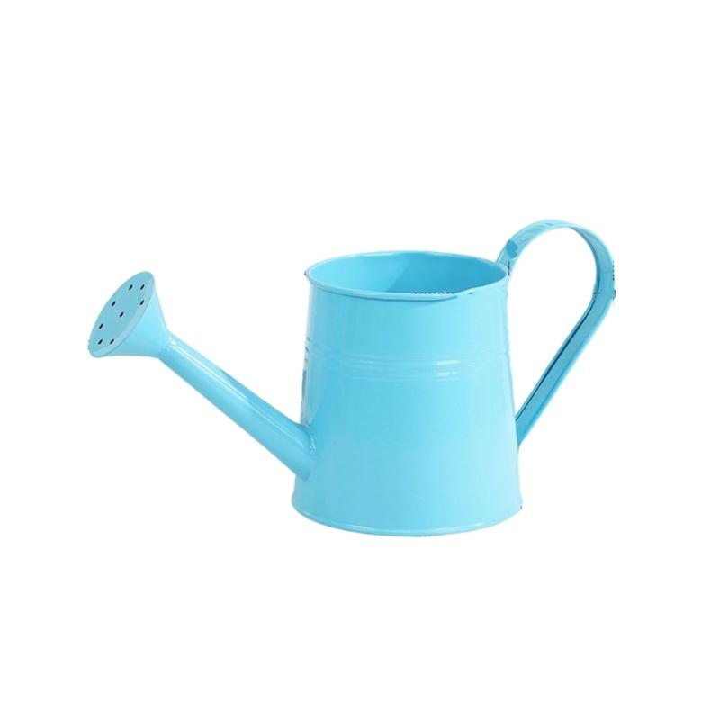

Watering Can for Indoor Plant Small Watering Can for House Plant Garden Flower Long Spout Water Can for Outdoor Watering синій