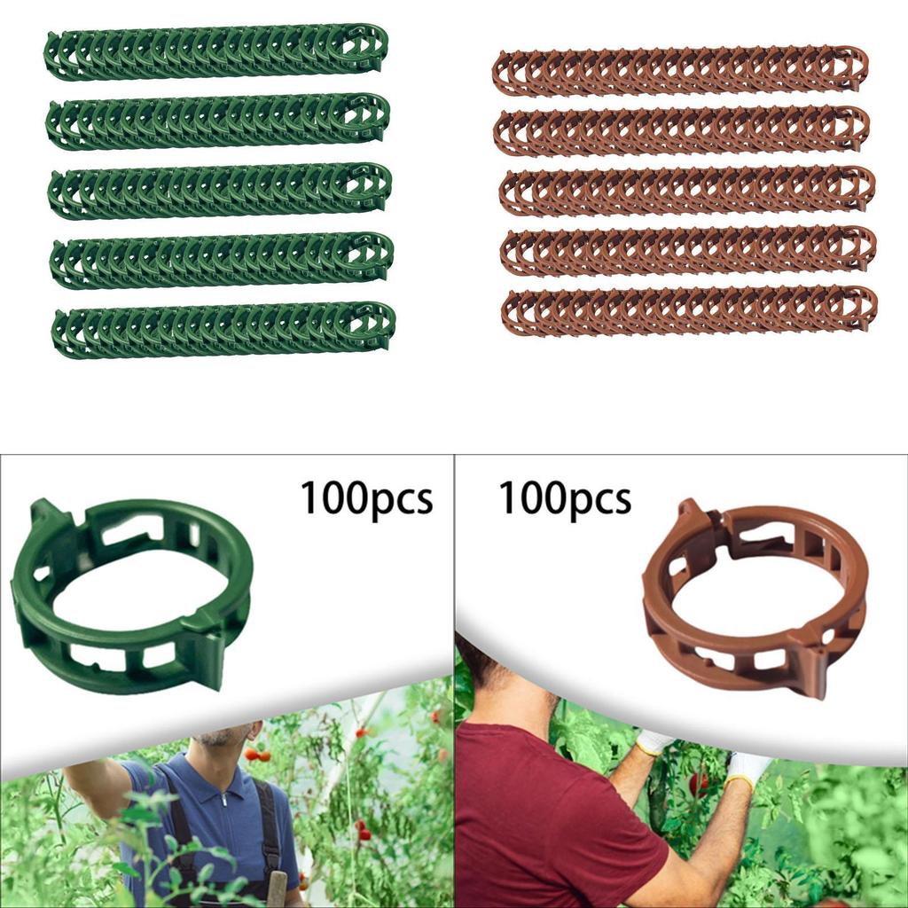 100 Pieces Plant Clips Vines Fixing Clips Plant Growth Clamps Plant Vine Clips for Peppers Cucumbers Roses Tomato Greenhouse