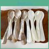 Natural 913cm Spoon Ice Shell Cream Coffee Caviar Spoon Mother Of Pearl Seashells Stirring Spoons Teaspoon Crafts Dessert Coffe