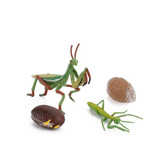 Model Toy Educational Design Early Simulation Plastic Animal Learning Growth Cycle Miniature