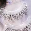 Choyu - Natural Multipack False Eyelashes