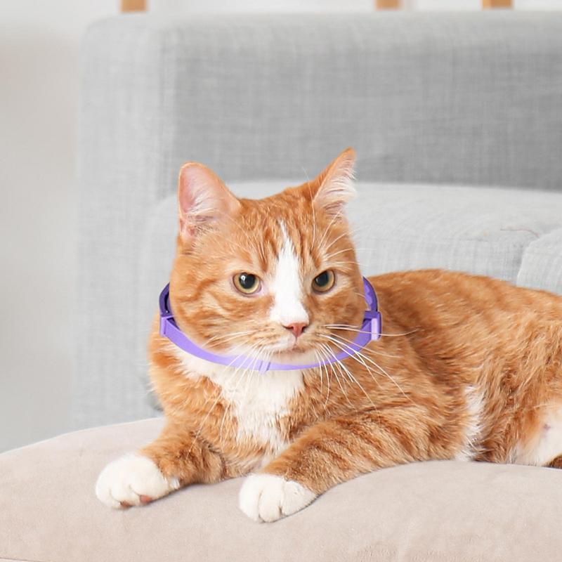 

Pet Calming Collar 4x Relaxing Comfortable Breakaway Collars Adjustable Cat Collar Efficient Relieve Stress Collar Stress france