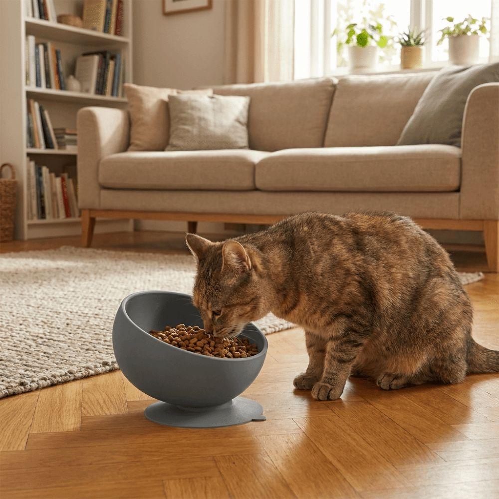 Suction Cups Silicone Pet Bowl Neck Protection Elevated Feeder Portable Dog Food Bowl Pet Dining