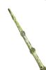 Harry Potter Albus Dumbledore Magic Wand Replica Costume Accessory Unisex Warner Bros. Official