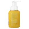 ATTITUDE Super Leaves™, Foaming Hand Soap, Lemon Leaf, 295 Ml (10 Fl Oz)