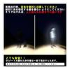 [Arashiyama] Super Reflective & Light Waterproof Windbreaker Jacket for Running & Cycling, with Adjustable Hood, for Mountain Climbing & Festivals,