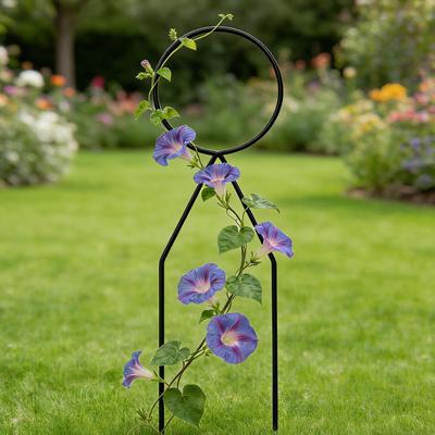 Klätterställning för växter 13 tum Växtstöd Klätterväxt Blomsterställ Metallväxtstöd Utomhus Trädgårdsstöd