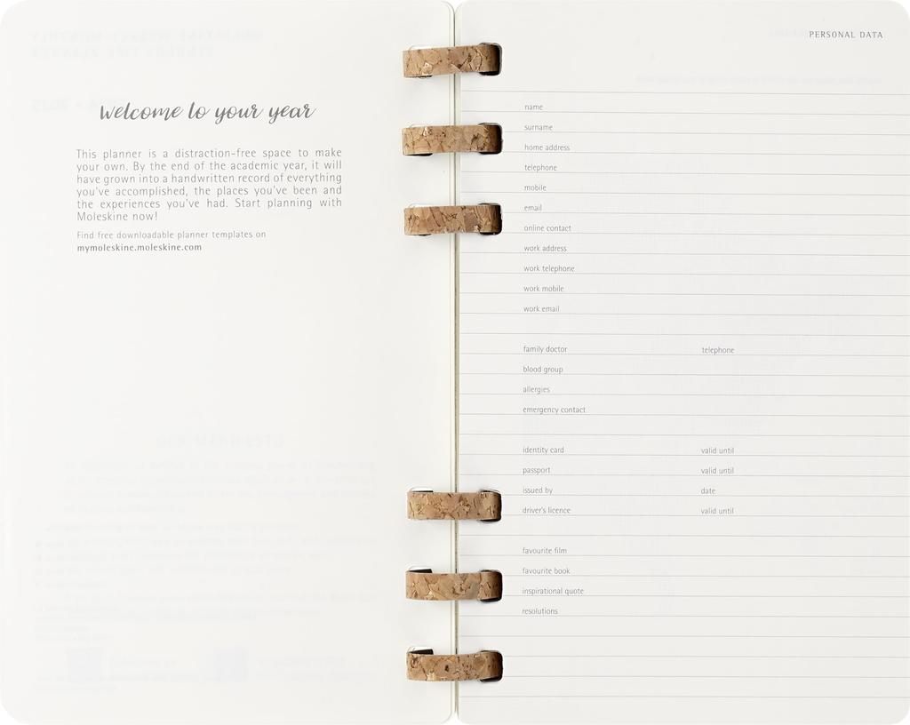Moleskine 2026 Planner, 12-Month Spiral Diary, Large Size (13cm X 21cm), Soft Cover, Black, DSSPB12AMWH3Y26, Starting In January