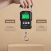 CAMRY Portable Handheld Luggage Scale