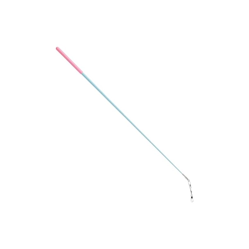 SASAKI Gymnastics Stick Junior Hologram Stick Aqua Blue x Pink MJ82H