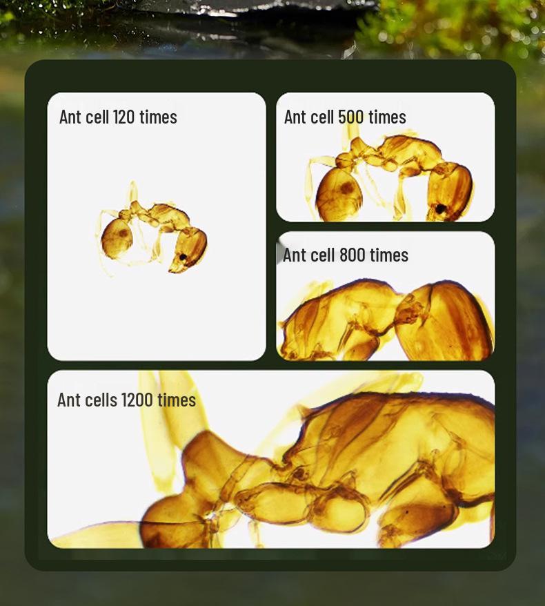 Portable HD Digital Microscope with Display for Educational Use