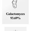 ma:nyo Galactomy Niacin 2.0 Essence MINI
