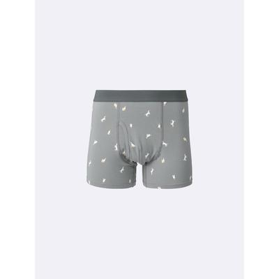 Boxer Shorts  Dog 2 