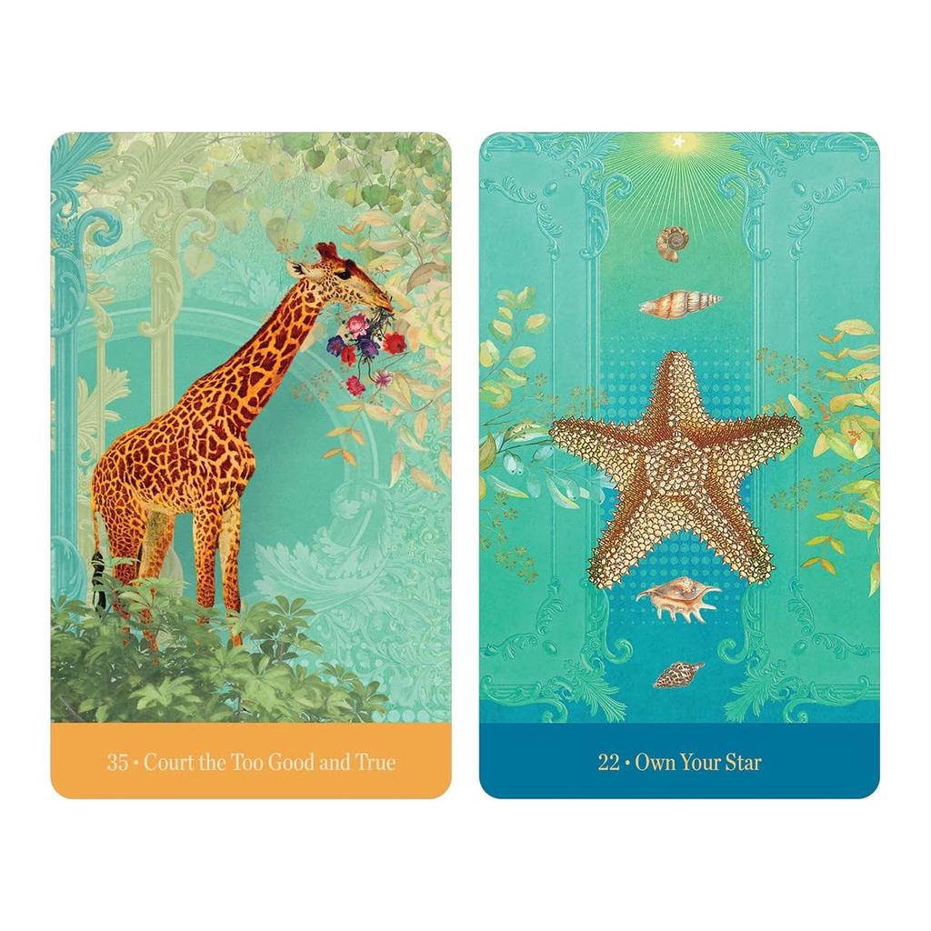 Kancharo Oracle Cards, 44-Piece Tarot Card Set [Love Who You Are], Includes Japanese Oracle Card Basic Instructions & Pouch (Authentic)