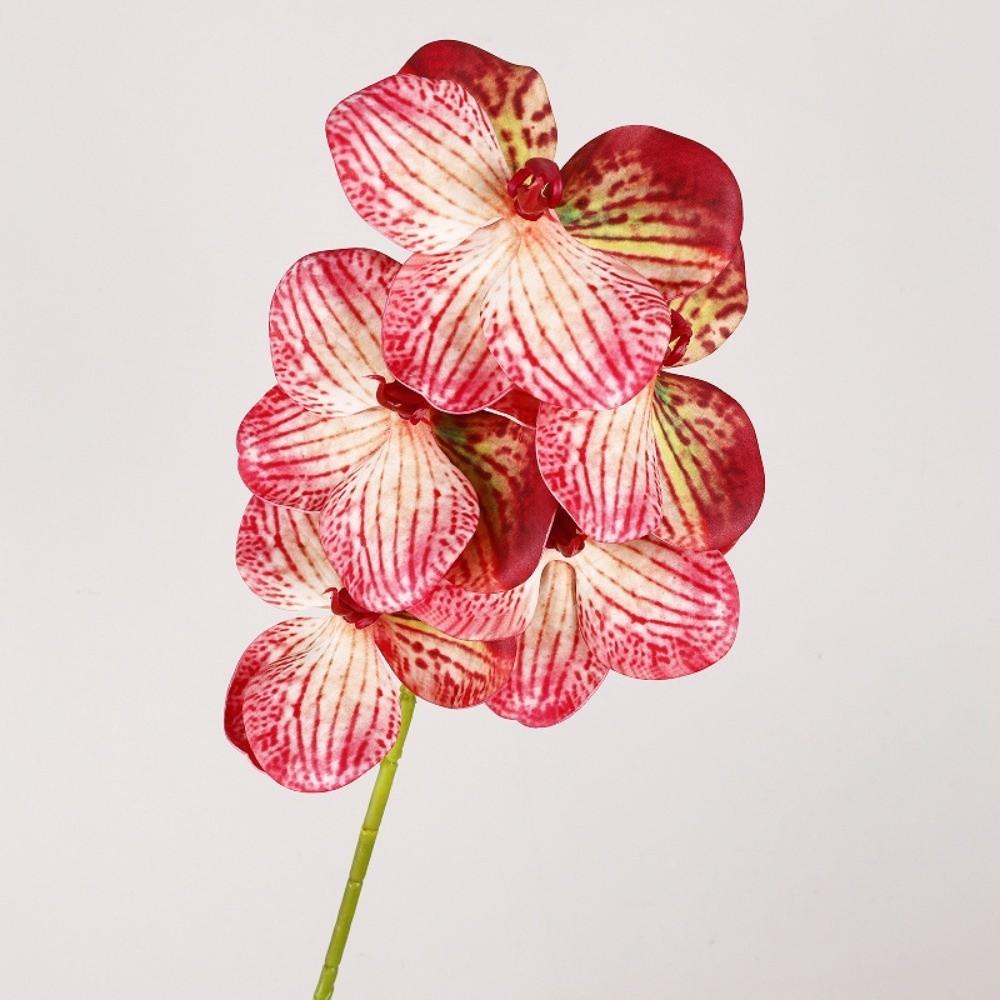 5 Heads Artificial Orchid Real Touch Multi Color Fake Phalaenopsis Flower Iron Wire Inner Lining 67cm Silk Flower